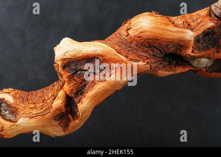 Strukturierte gebogene Holzschnalle von brauner Farbe mit Textur auf schwarzem Hintergrund mit freiem Platz. Stockfoto
