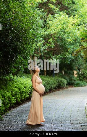 Schwangere Frau in Abendkleid hält Hände auf Bauch im Freien in Bambuswald. Schwangerschaft, Mutterschaft, Vorbereitung und Erwartung Konzept. Wunderschön Stockfoto