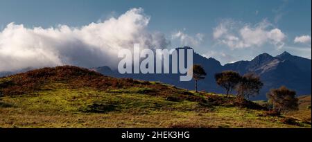 Herbstbäume, in der Nähe von Torrin, Isle of Skye, Schottland. Stockfoto