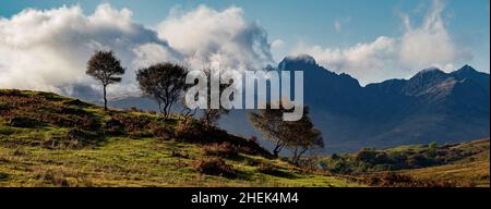 Herbstbäume, in der Nähe von Torrin, Isle of Skye, Schottland. Stockfoto