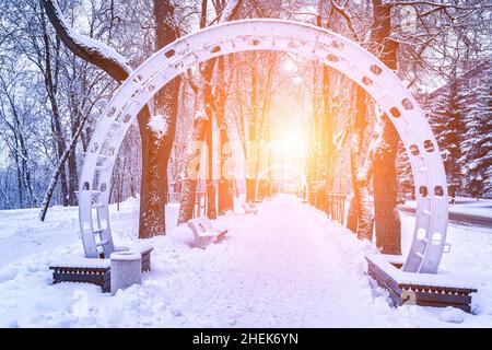 Winterpark mit Bäumen, Kameen und mit Schnee bedeckten Gehwegen nach einem Schneefall an sonnigen Tagen. Stockfoto