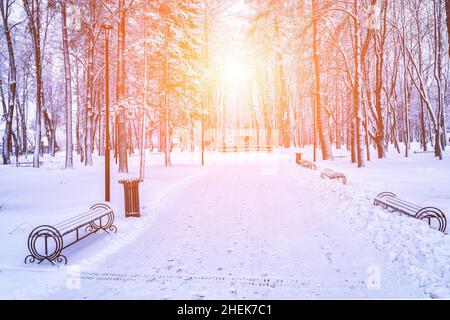 Winterpark mit Bäumen, Kameen und mit Schnee bedeckten Gehwegen nach einem Schneefall an sonnigen Tagen. Stockfoto