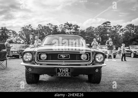 Ford Mustangs auf dem Display Stockfoto