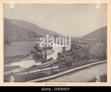 Valle of Avoca, Wicklow. Irland 1905 altes antikes Vintage Druckbild Stockfoto