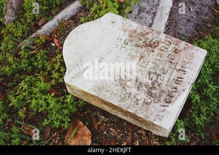 Grabstein im Kleegras Stockfoto