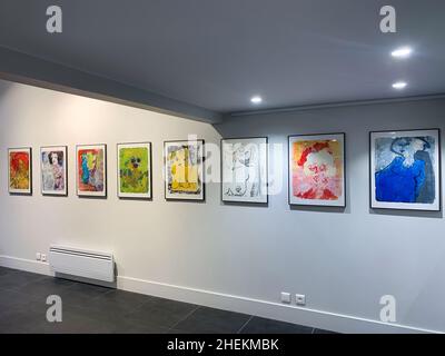 Kunstgalerie, Ausstellung Martian Ayme, Lyon, Frankreich Stockfoto
