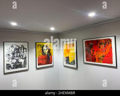 Kunstgalerie, Ausstellung Martian Ayme, Lyon, Frankreich Stockfoto