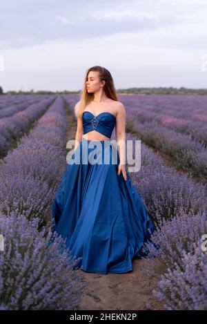 Schönes Mädchen in einem blauen Hochzeitskleid steht in einem Lavendelfeld. Stockfoto