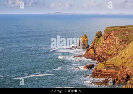 Die Sandsteinfelsen der St Brides Bay mit den Bergen von St Davids Head im Hintergrund, Pembrokeshire Coast National Park, South Wales Stockfoto