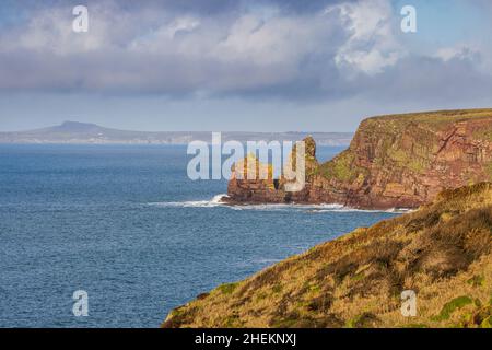 Tower Point und die Sandsteinklippen der St Brides Bay mit den Bergen von St Davids Head im Hintergrund, Pembrokeshire Coast National Park, South Stockfoto