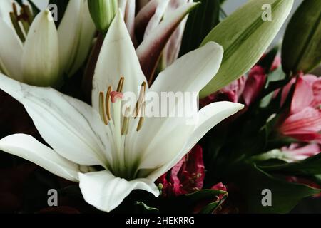 Frische Lilie und rosa Alstroemeria Blumenstrauß auf einem dunklen Holzhintergrund mit Kopierraum Stockfoto