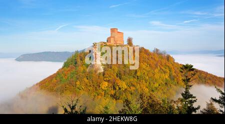 Sonniger Blick auf die Burg Trifels im Herbst über dem Nebel Stockfoto