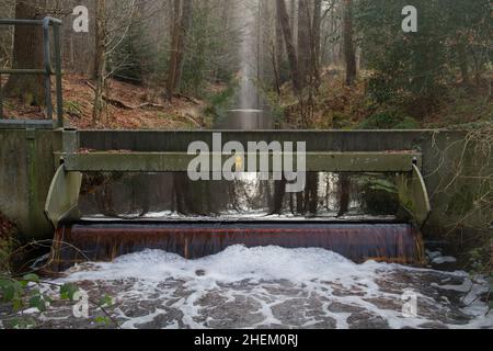 Kleiner Überlaufdamm in einem Fluss zur Kontrolle des Wasserpegels in einem Naturschutzgebiet. Stockfoto