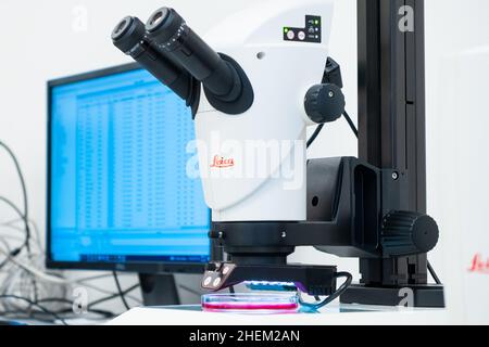 Leica Mikroskop und Computer für die DNA-Analyse oder kleine Objekte und Zellen. Mikrobiologische oder klinische Analyse, Januar 2022, Prag, Tschechische Republik. Stockfoto
