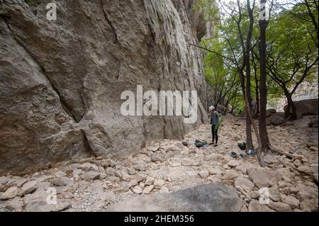 Klettern in der Schlucht Velika Paklenica, Nationalpark Paklenica, Starigrad, Kroatien Stockfoto