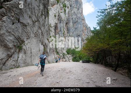 Klettern in der Schlucht Velika Paklenica, Nationalpark Paklenica, Starigrad, Kroatien Stockfoto