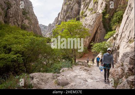 Klettern in der Schlucht Velika Paklenica, Nationalpark Paklenica, Starigrad, Kroatien Stockfoto