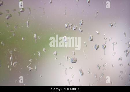 Regentropfen auf Glas, verschwommener Hintergrund mit selektivem Fokus auf Vögel, wolkiger Tag. Stockfoto