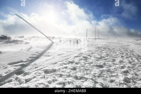 Winterlandschaft bei einem Schneesturm im Nationalpark Karkonosze, Polen. Stockfoto