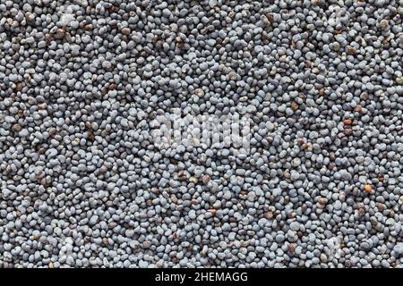 Extreme Nahaufnahme von blauen Mohnsamen, natürlicher abstrakter Hintergrund. Stockfoto