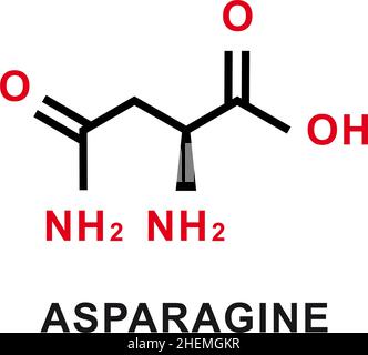 Chemische Formel von Asparagin. Chemische Molekülstruktur von Asparagin. Vektorgrafik Stock Vektor