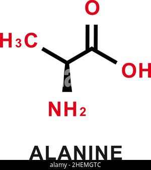 Alanin chemische Formel. Alanin chemische molekulare Struktur. Vektorgrafik Stock Vektor