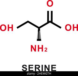 Chemische Formel für Serine. Chemische molekulare Struktur der Serine. Vektorgrafik Stock Vektor