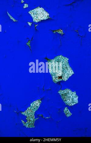 Farbe schält sich von der verputzten Wand im Inneren. Blau lackierte Wand ist mit dicken rissigen Farbe bedeckt. Designlösung. Stockfoto