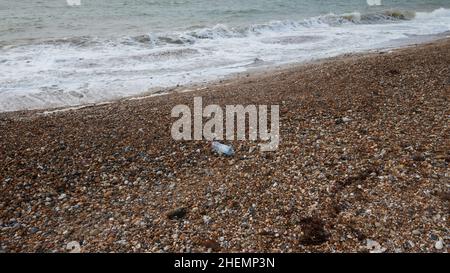 Kunststoff-Flasche an den Strand gespült. Stockfoto