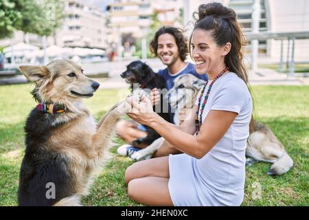 Mann und Frau Paar lächeln selbstbewusst auf Kraut mit Hunden im Park sitzen Stockfoto