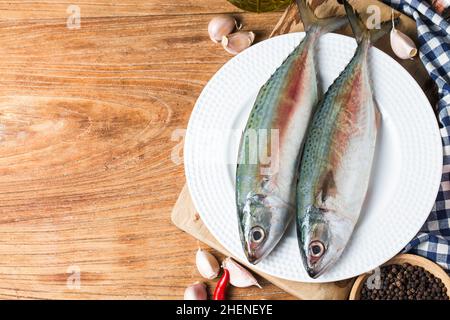 Indische Makrele Rastrelliger kanagurta Stockfoto