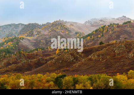 Malerische Berglandschaft im Herbst. Am Fuße der Bergkette ist ein farbenfroher Herbstwald, die Gipfel sind mit erstem Schnee bedeckt. Stockfoto