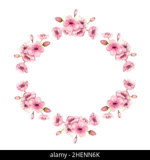 Ein Kranz aus frühlingsrosafarbenem Sakura blüht auf einem weißen, isolierten Hintergrund. Aquarelldarstellung Stockfoto