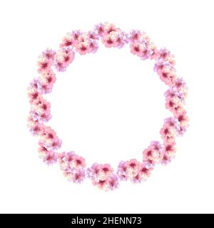 Ein Kranz aus frühlingsrosafarbenem Sakura blüht auf einem weißen, isolierten Hintergrund. Aquarelldarstellung Stockfoto