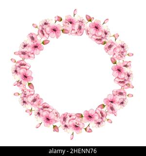 Ein Kranz aus frühlingsrosafarbenem Sakura blüht auf einem weißen, isolierten Hintergrund. Aquarelldarstellung Stockfoto