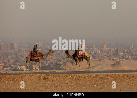 KAIRO, ÄGYPTEN- 17. NOVEMBER 2018: Сamel-Fahrer auf dem Hügel mit dem Stadtbild von Kairo im Hintergrund Stockfoto