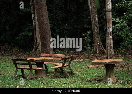 Tischset aus Ferrozement im Wald. Selektive Fokuspunkte Stockfoto