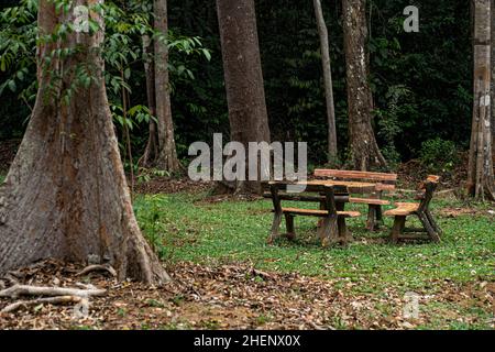 Tischset aus Ferrozement im Wald. Selektive Fokuspunkte Stockfoto