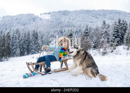 Lustiger Junge mit Hund, der Spaß mit einem Schlitten im Winterwald hat. Zärtlicher niedlicher Hund. Kinder Haustier Liebe. Stockfoto