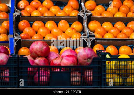 Reihen reifer Kaki, Granatäpfel und Zitronen in Holzkisten auf einem Bauernmarkt Stockfoto