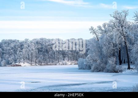 Blick auf den verschneiten Wald rund um den zugefrorenen See. Frost bedeckt die Äste von Bäumen. Malerische Winterlandschaft. Hintergrund. Stockfoto