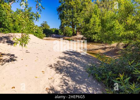 Die Sandbank am Mekong-Fluss, Kambodscha Stockfoto