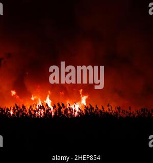 Verschwommene Ansicht. Flammen aus einem trockenen Grasfeuer in der Nacht. Nachtfeuer auf dem Feld Stockfoto
