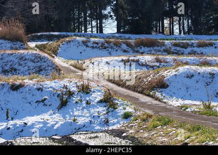 Schneebedecktes Feld, Stadt Isehara, Präfektur Kanagawa, Japan Stockfoto