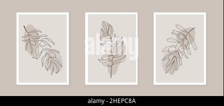Vektor des böhmischen Olivenzweiges. Oliven mit Blättern in einem linearen Stil. Boho Logo Natur, Feldpflanzen Illustration für Wandkunst. Pflanzenkunst Design für pri Stock Vektor