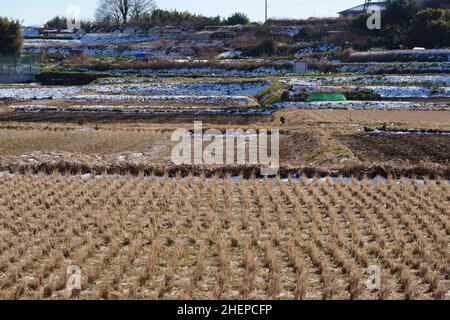 Schneebedecktes Feld, Stadt Isehara, Präfektur Kanagawa, Japan. Stockfoto