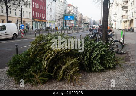 11.01.2022, Berlin, Deutschland, Europa - ausrangierte und stillgelegte Weihnachtsbäume ohne Dekoration liegen am Straßenrand in einem Wohngebiet. Stockfoto