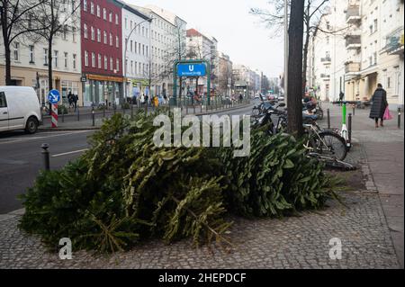 11.01.2022, Berlin, Deutschland, Europa - ausrangierte und stillgelegte Weihnachtsbäume ohne Dekoration liegen am Straßenrand in einem Wohngebiet. Stockfoto