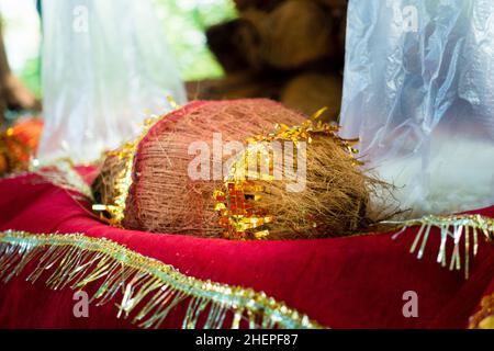 Kokosnüsse im Tempel. Kokos repräsentiert die Hindu-dreifaltigkeit von Brahma, Vishnu und Mahesh. Daher die Bedeutung. Anhänger zollen den drei Göttern b Tribut Stockfoto