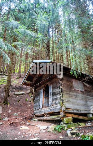 Kleine verlassene Holzhütte in einem tiefen dunklen Tannenwald Stockfoto